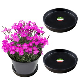 Little Bear Peak Round Composite Plant Saucer/Tray (2-Pack) | 60% Recycled Plastics & 40% Stone/Wood Powder | Heavy-Duty Water Catcher | Indoor & Outdoor use | Recycle at End of Life | Water Flowers