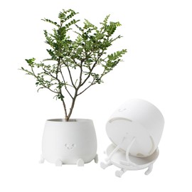 TOPOLA Happy Face Planter, 5.2 Inches Plastic Plant Pot, Self Watering Plant Pot with Drainage Holes for Indoor Outdoor, Succulent Pot, Funny Flower Pot, White