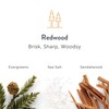 Harry's Men's Deodorant 3-Pack Redwood, Stone, Shiso - Odor Control-