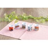 ＯＲＡＮＧＥ　ＡＰＲＯＮ Mino Ceramic Sake Cups [Made in Japan/Set of 5]:
