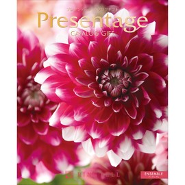 Limbel Catalog Gift Presentage Excellent Ensemble