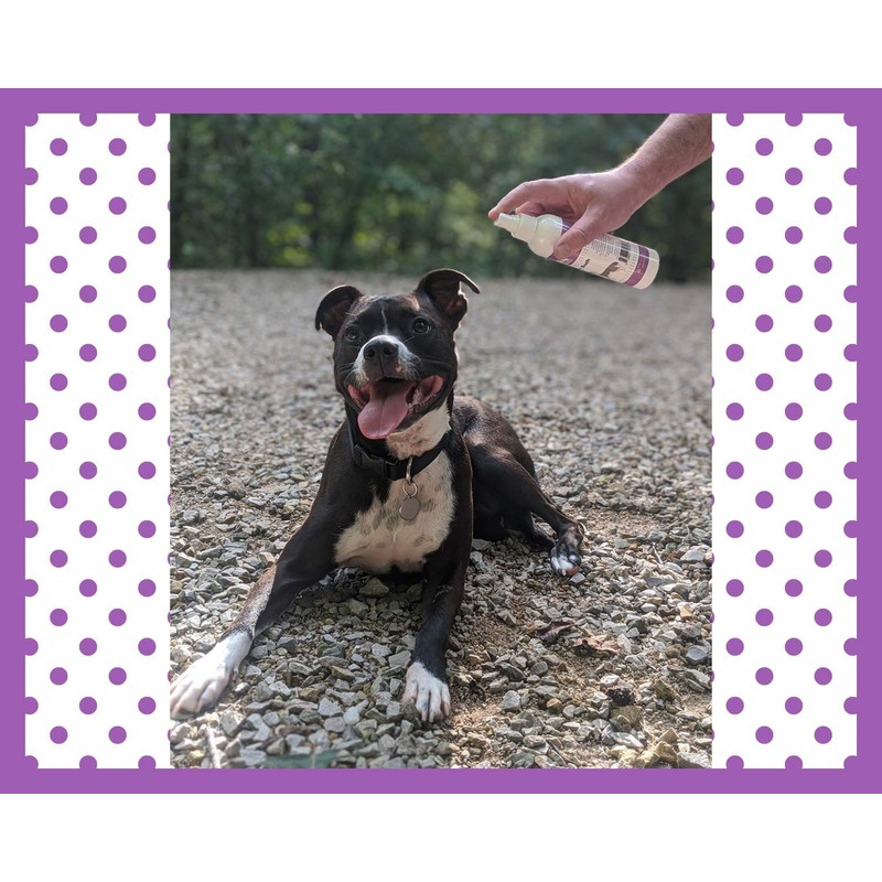 Speak Pet Products Natural Waterless Bath Spray, Calming Lavender, 8oz