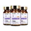Toyama Chemical Reduction Type Coenzyme Q10, 60 Tablets, 30 Days