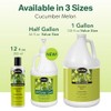 Shikai Products Cucumber Melon Shower Gel 360 ml by ShiKai