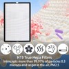 EPI-186 Replacement Filter for COLZER EPI-186 Air Purifier, H13 Ture