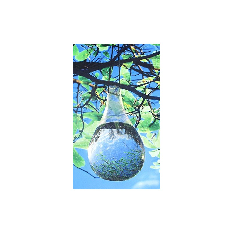Esschert Design Glass Fly Deterrent