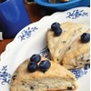 Rabbit Creek Blueberry Cream Scone Mix – Blueberry Scones Baking