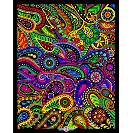 Stuff2Color Paisley - 16x20 Fuzzy Velvet Coloring Poster