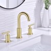 TRUSTMI 2 Handle 8 Inch Brass Bathroom Sink Faucet 3