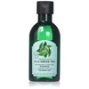 THE BODY SHOP FUJI GREEN TEA REFRESHINGLY PURIFYING SHAMPOO FOR