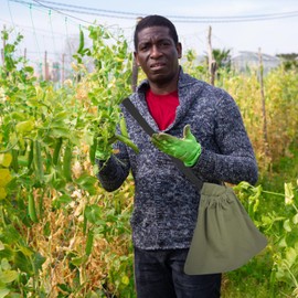Happyyami Fruit Picking Bag Harvest Apron for Garden Adjustable Vegetable Picking Bag Apple Harvest Pouch Canvas Gathering Tote Bag for Egg Berry Mushroom Gardeners