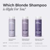Paul Mitchell Platinum Blonde Champ Violeta, Elimina Tonos Cobrizos Ilumina,
