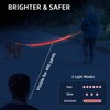 PetIsay Light up Dog Leash for Night Walking - USB