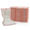 Extra Large Super-Absorbent Contoured Hospital Style Pad Liners [Pack of