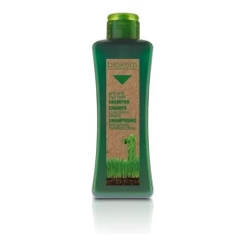 Salerm Biokera Shampoo + Mascarilla Solución Cabellos Grasos