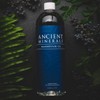 Ancient Minerals Ancient Minerals Magnesium Oil Refill Bottle, high Concentration