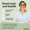 XyloBurst Gum | Xylitol Chewing Gum | Sugar Free, Gluten