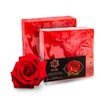 Panu Rose Soaps - Vegan Shower Soap for All Skin