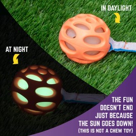 Chew King Fetch Balls Durable Natural Floating Dog Toy, Float and Glow Flyer, Squeaker Ball Dog Toy