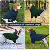 ADNIKIA Basic Dog Hoodie, Soft and Warm Dog Sweater Shirt
