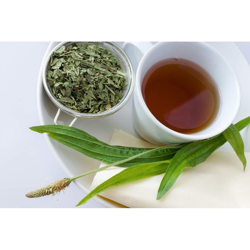 Health Embassy English Plantain Leaf (Plantago lanceolata L) (100g)