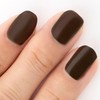 Gofun Nail Soot Bamboo Color (Susutake Iro) [2025 Limited Color]