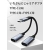 LeTradeJP2 in 1 Type C Earphone Converter Cable Type-C Earphone