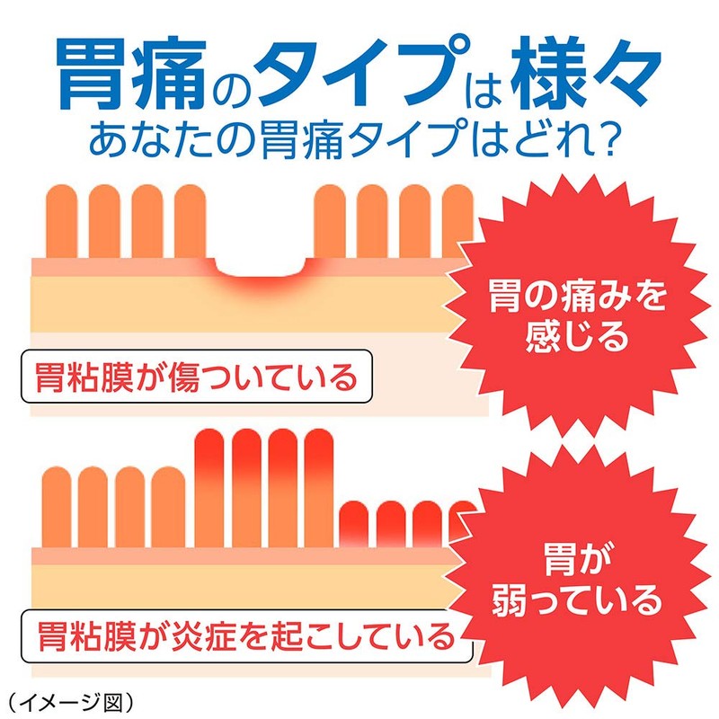 【第2類医薬品】スクラート胃腸薬S(散剤) 12包