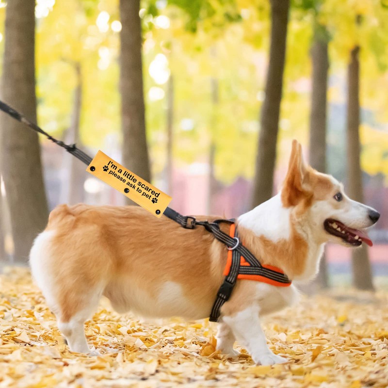 Scared Dogs Leash I'm a Little Scared Please Ask to