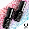 Organic Nails Kit Base Coat + Top Coat + Matte