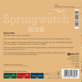 Abacus Cards General Male/Female Blank/Birthday Card - Brown Hare & Crops - Eco-Friendly & Recyclable - From the BBC Springwatch Range