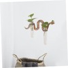 BIUDECO Wooden Green Plant Shelf Snake Shape Wall Tubes Home