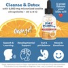 Kidz Cleanse | Zeolite Detox for Kids | Development, Behavior,