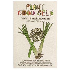 Plant Good Seed Welsh Onion Seeds - Pack of 100, Heirloom Seeds for Planting Vegetables - Gardening Supplies, Herb, Vegetable Garden - Non-GMO, Open Pollinated, from USA