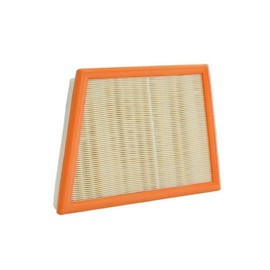 Ryco Air Filter