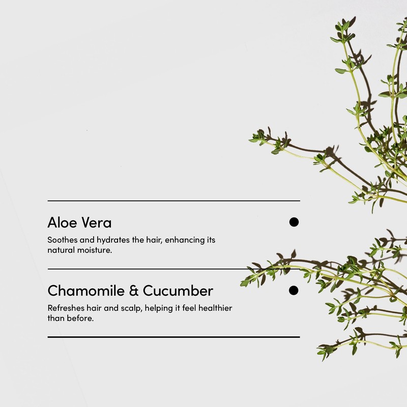 LATHER - Mint Thyme Hair Wash, 8 fl oz -