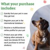 Pet ID Tag for Dog Cat with QR Passport Global
