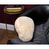 Primitives by Kathy Shaped Skull Decorative Throw Pillow