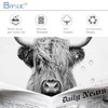 BIYSUC Highland Cow Reading Newspaper Shower Curtain Funny Black and