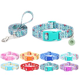 Moonpet Dog Collar with Leash Airtag Holder Case Set, Breathable Adjustable Durable Dog Collars for Male Female Puppy X-Small Small Medium Large Dogs Walking Running Training-Maya-L