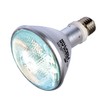 Zensui Solarium Replacement Bulb, 35W