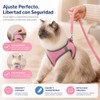 Pack de 2 Arnés para Perro y Gato con Correa