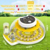 Quail Egg Incubator for Hatching 40 Quail Eggs with Automatic