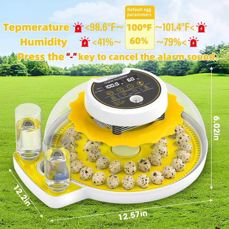 Quail Egg Incubator for Hatching 40 Quail Eggs with Automatic