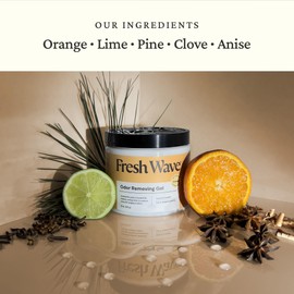 Fresh Wave Orange Odor Removing Gel, 15 oz. | Odor Absorbers for Home | Safer Odor Relief | Natural Plant-Based Odor Eliminator | Every 15 oz. lasts 30-60 Days | For Cooking, Trash & Pets