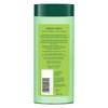 Biotique Bio Neem Margosa Champú y acondicionador anticaspa, 180 ml