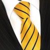 TigerTie Men's StripedNecktie Yellow Yellow