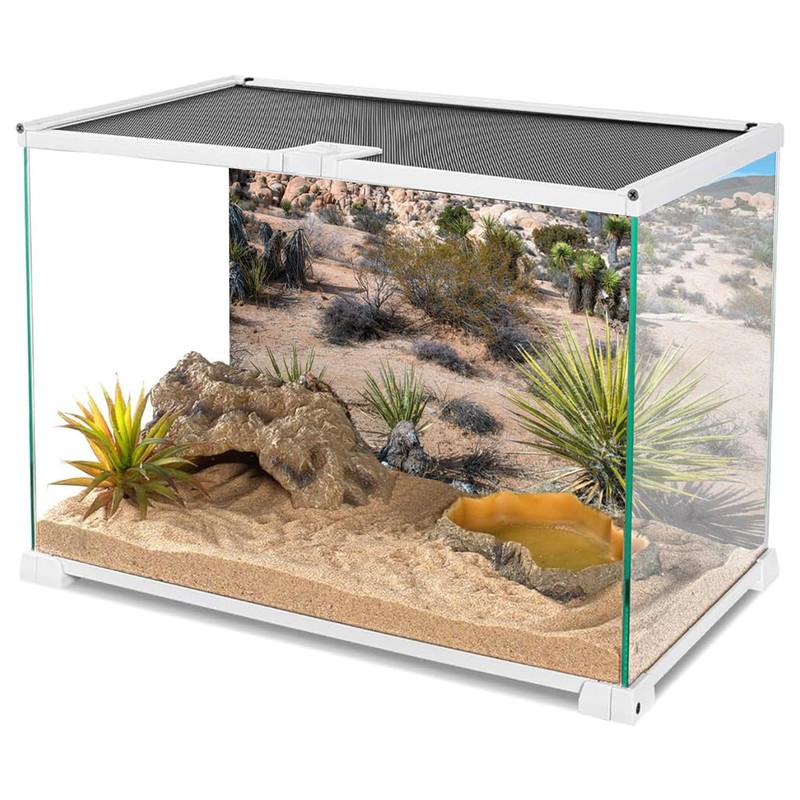 MIRRORANG 120 x 61 cm Desert Dune Reptile Terrarium Aquarium