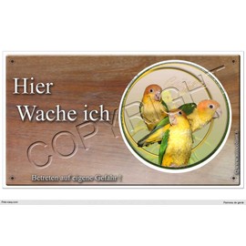 Panneau Birds or Plaque Caigues