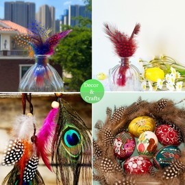 100pcs Red Spotted Feathers Guinea Pheasant Feather 3-6 Inches for Crafts Dream Catcher Jewelry Decoration, Colored Turkey Chicken Plume Feathers